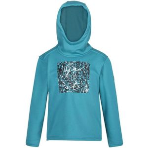 Regatta Kinderen/Kinderen Highton Abstract Extol Stretch Hoodie (140) (Pagode Blauw)