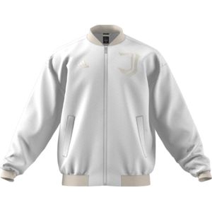 2022-2023 Juventus Padded Jacket (White)