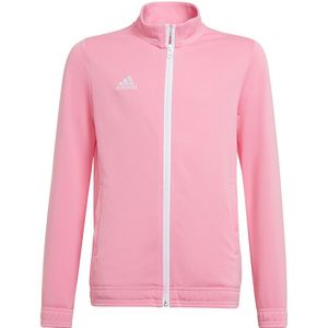 adidas - Entrada 22 Track Jacket Youth - Roze Trainingsjack - 164