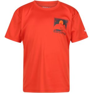 Regatta Kinderen/Kinderen Alvarado VII Sunset T-Shirt (128) (Roestige sinaasappel)
