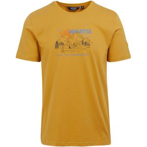 Regatta Heren Cline VIII Avontuur Sunset T-Shirt (XL) (Goud stro)