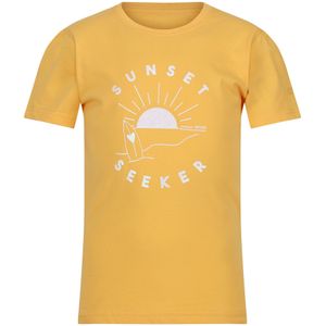 Regatta Kinderen/Kinderen Bosley VI Sunset T-Shirt (146-152) (Ambergeel)