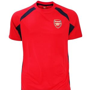 Arsenal FC Jongens Paneel T-Shirt (L) (Rood/zwart)