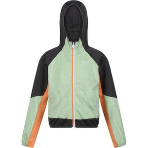 Regatta Kinder/Kids Prenton II Hooded Soft Shell Jacket (128) (Stil Groen/Grijs)