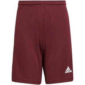 adidas - Squadra 21 Shorts Youth - Voetbalbroekje Kinderen - 164