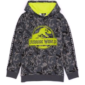 Jurassic World: Camp Cretaceous Childrens/Kids Logo Hoodie