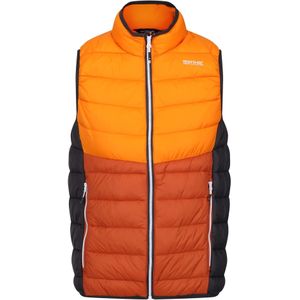 Regatta Heren Harrock II Gewatteerd Gilet (XXL) (Oranje peper/gebrand koper)