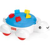 Dolu fisher price schildpad vormenstoof