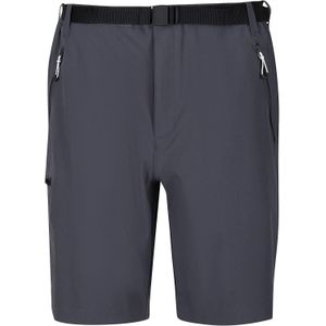 Regatta Heren Xert III Stretch Shorts (50R) (Afdichting Grijs)