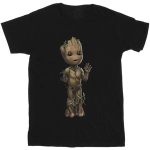Marvel Heren Ik Ben Groot Wave Pose T-Shirt (4XL) (Zwart)