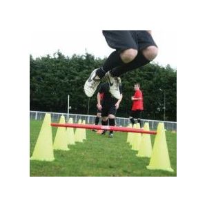 Agility Set  5 stokken en 10 pionnen