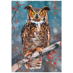 Great Horned Owl Puzzel (500 stukjes)