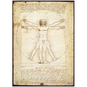 Puzzel Eurographics - Leonardo Da Vinci: Man van Vitruvius, 1000 stukjes