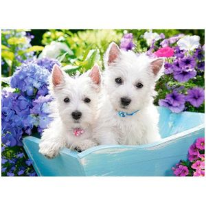 Puzzel Castorland - Westie Puppies, 200 stukjes