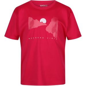 Regatta Kinderen/Kinderen Alvarado VII Zon T-Shirt (164) (Roze drankje)