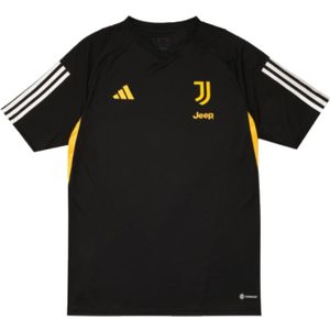 Adidas Juventus 23/24 Tiro Short Sleeve T-shirt Training Grijs XL