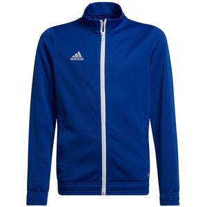 adidas - Entrada 22 Track jacket Youth - Blauwe Jas Kids - 152