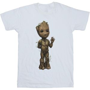Marvel Heren Ik Ben Groot Wave Pose T-Shirt (3XL) (Wit)