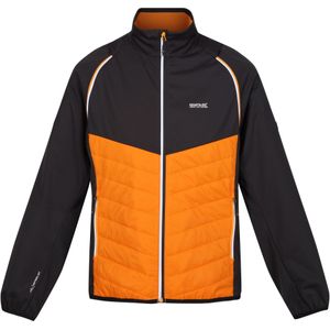 Regatta Heren Steren Hybride Zachte Shell Jas (XL) (Oranje peper/Ash)