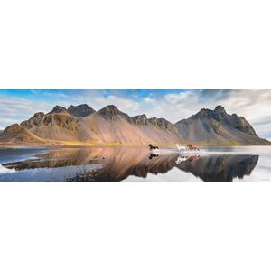 Puzzel Iceland Horses (1000 stukjes, Nature)