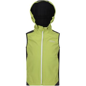 Regatta Kinder/Kids Zuurstof VI Lichtgewicht Gilet met Capuchon (158) (Groen Alg/Seal Grijs)