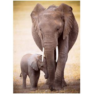 Puzzel Eurographics - De olifant en babyolifant, 1000 stukjes