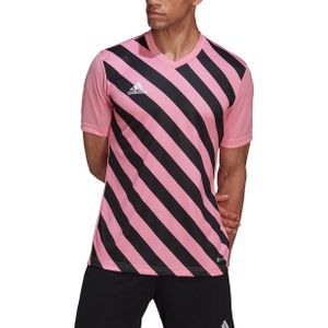 adidas - Entrada 22 GFX Jersey - Roze Voetbalshirt - XL