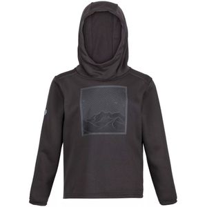 Regatta Kinder/Kids Highton Berg Extol Stretch Hoodie (104) (Donkergrijs)