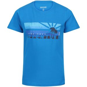 Regatta Kinderen/Kinderen Bosley VI Berg T-Shirt (170-176) (Indigoblauw)