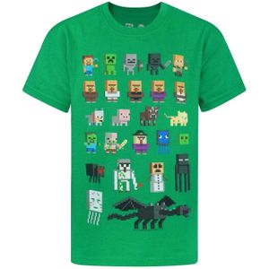 Minecraft Officieel Jongens Sprites Sterren T-Shirt (12-13 Jahre (164)) (Groen)