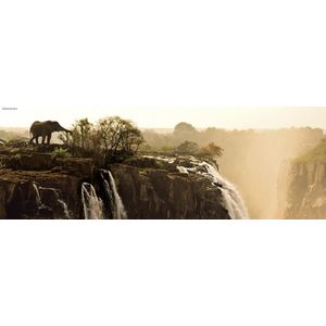 Puzzel Elephant 1000 Panorama Heye 29287