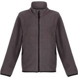 Regatta Kinder/Kids Microfleece Full Zip Fleecejack (128) (Afdichting Grijs)