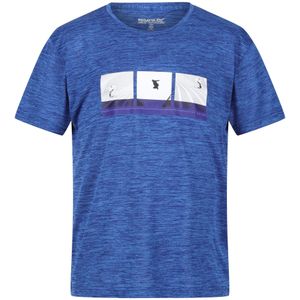 Regatta Kinderen/Kinderen Findley Grafisch T-shirt Marl (140) (Sterk Blauw)