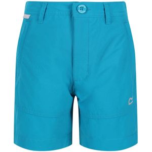 Regatta Kinderen/Kinderen Highton Shorts (164) (Email)