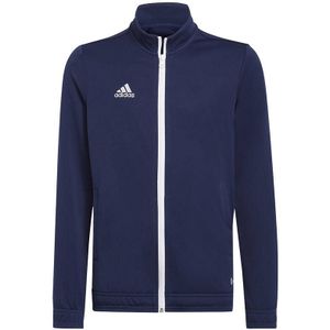 Adidas Junior Entrada 22 Track Sweatshirt H57530