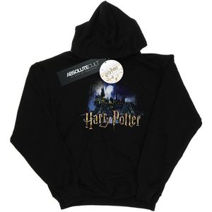 Hary Potter Heren Zweinstein Kasteel Hoodie (5XL) (Zwart)