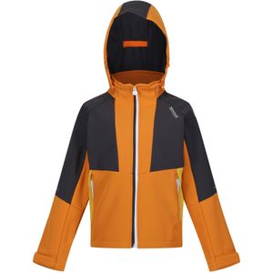 Regatta Kinder/Kids Haydenbury Soft Shell Jas (116) (Oranje peper/Grijs)