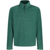 Regatta - Heren Micro Zip Turtle Neck Fleece Sweater (2XL) (Groen)