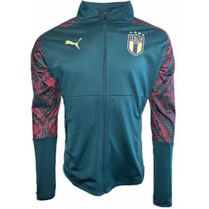 2019-2020 Italy Puma Stadium Renaissance Jacket (Pine) - Kids