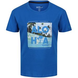 Regatta Kinderen/Kinderen Bosley V Beach T-shirt (164) (Keizerlijk Blauw)