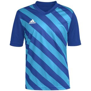adidas - Entrada 22 GFX Jersey Youth - Blauw Voetbalshirt - 116
