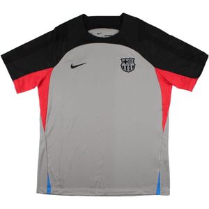 2022-2023 Barcelona CL Training Shirt (Grey)