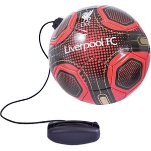 Liverpool FC Skills Mini Training Ball