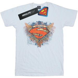DC Comics Jongens Superman Vleugels Schild T-Shirt (152-158) (Wit)