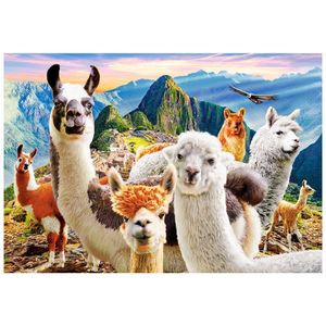 Puzzel 1000 stukjes Castorland - Lama's Selfie