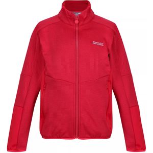 Regatta Childrens/Kids Highton III Full Zip Fleece Jacket (146-152) (Bessenroze/roze toverdrank)
