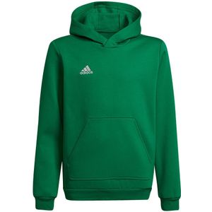 adidas - Entrada 22 Hoodie Youth - Groene Hoodie Kids - 128