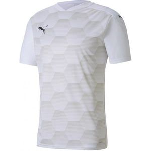 Men's Puma Teamfinal 21 Graphic Jersey L