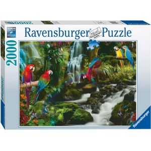 Bonte Papegaaien in de Jungle Puzzel (2000 stukjes)