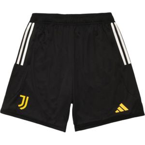 2023-2024 Juventus Training Shorts (Black)